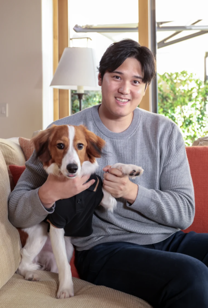 Shohei Ohtani’s real-life dog decoy stars in his new children’s book ...