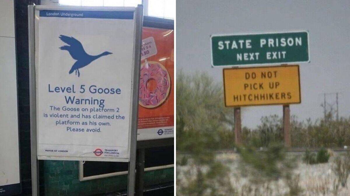 Absurdly specific signs that raised a few eyebrows