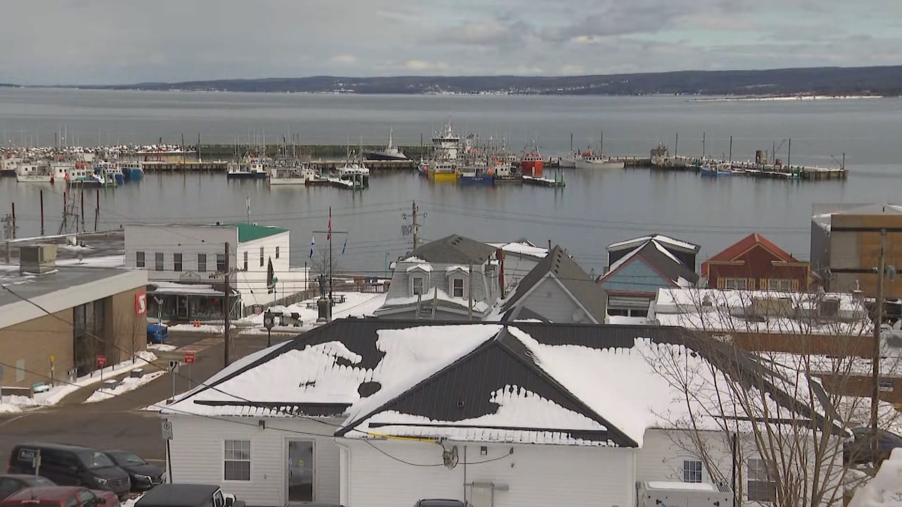Preliminary work to begin on Digby wharf improvements