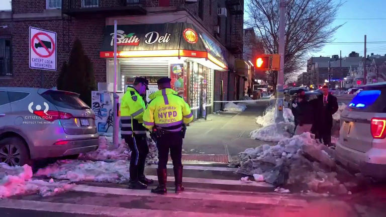 11-year-old girl hit by school bus in Brooklyn pronounced dead at ...
