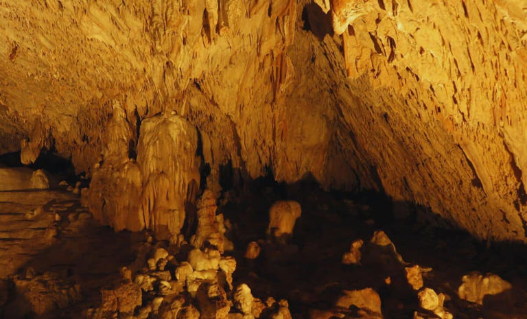 Ancient humans had a surprise genetic twist, you have to see what ...