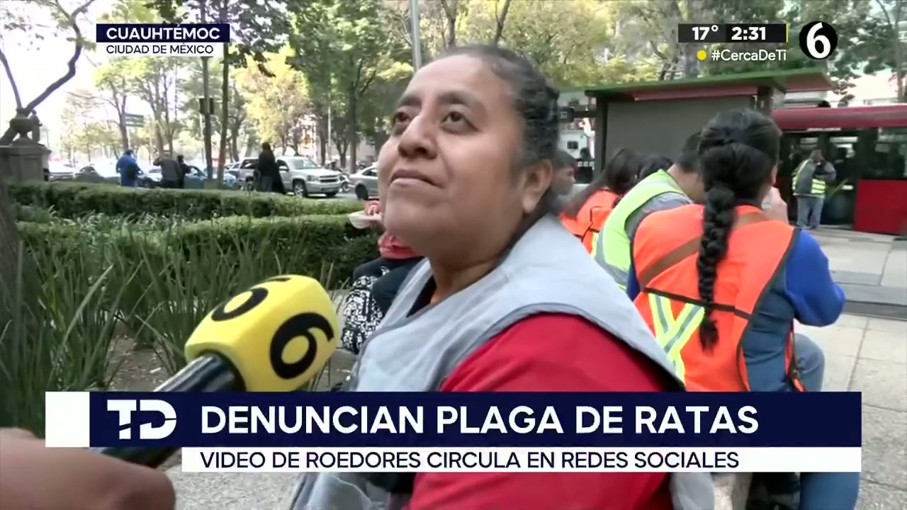 ¡Una plaga! Denuncian alta afluencia de ratas sobre Paseo de la Reforma