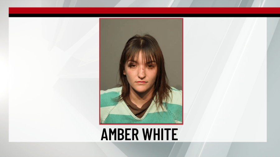 Des Moines woman charged with OWI after alleged police chase