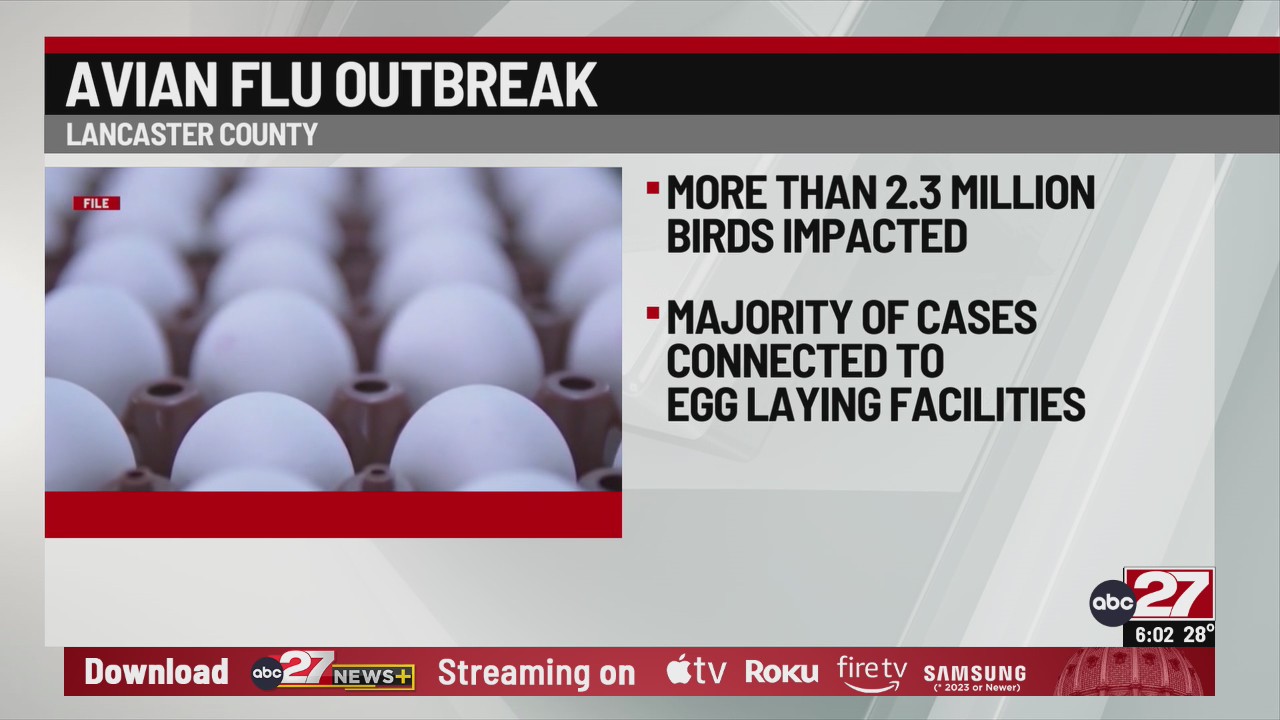 Millions of Lancaster County birds affected by avian flu
