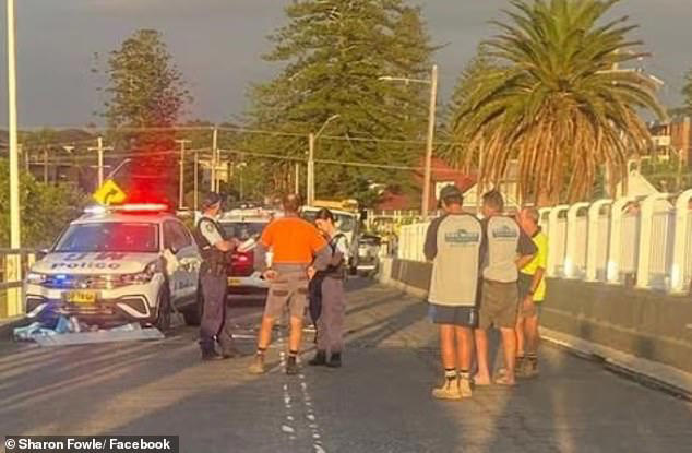 Massive police operation as man armed with a chainsaw is shot dead ...