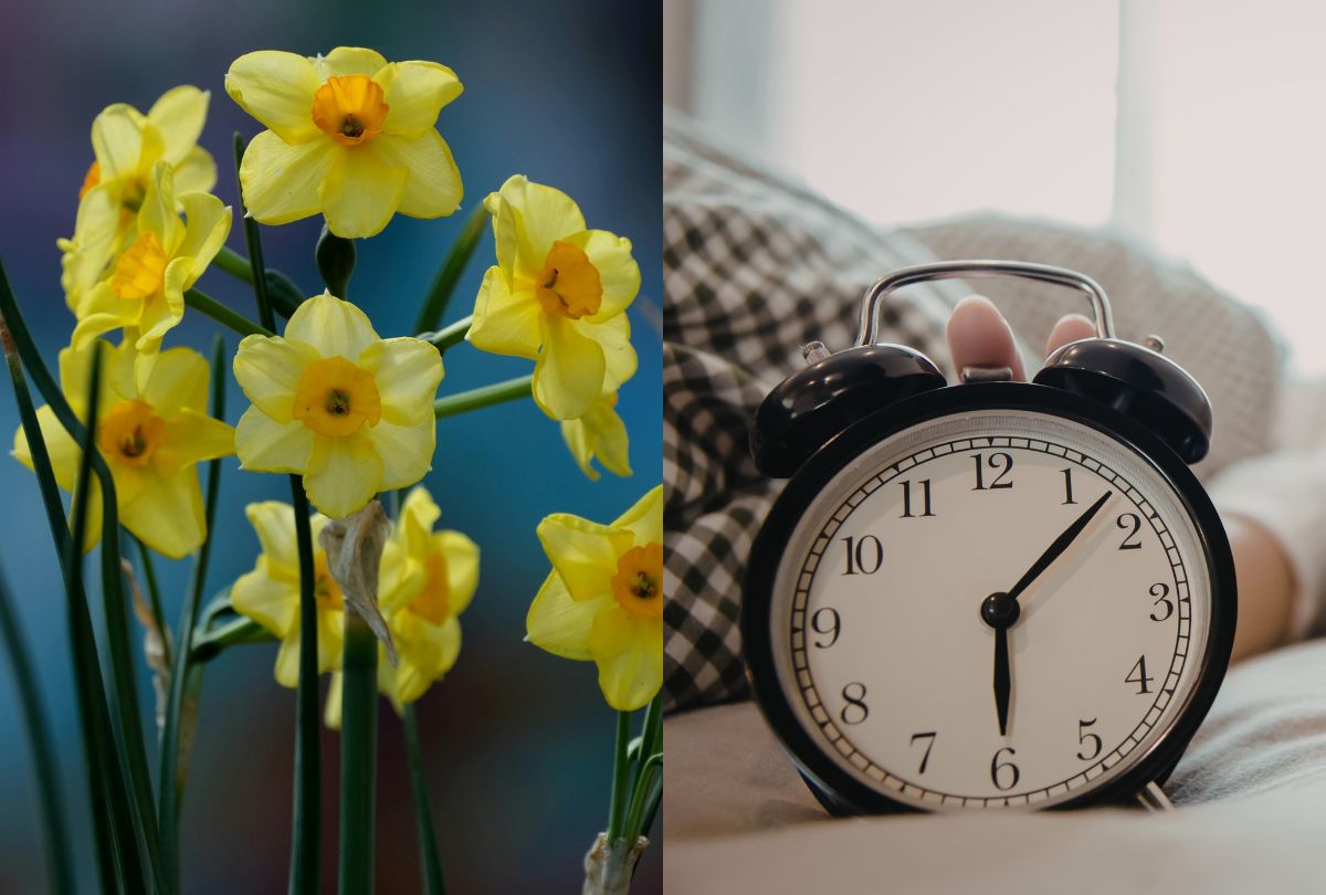 UK weather: The exact date winter ends and when the clocks will go forward