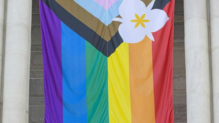 Idaho House passes bill banning local LGBTQ protections