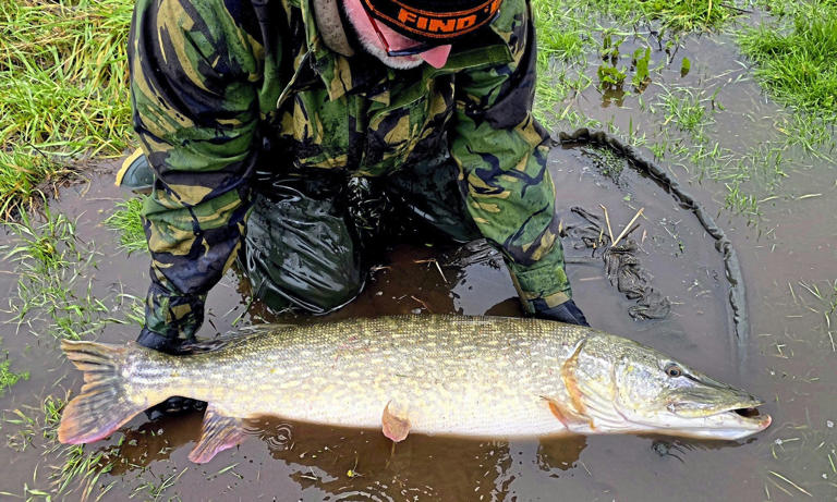 Unforgettable river session ends with record pike