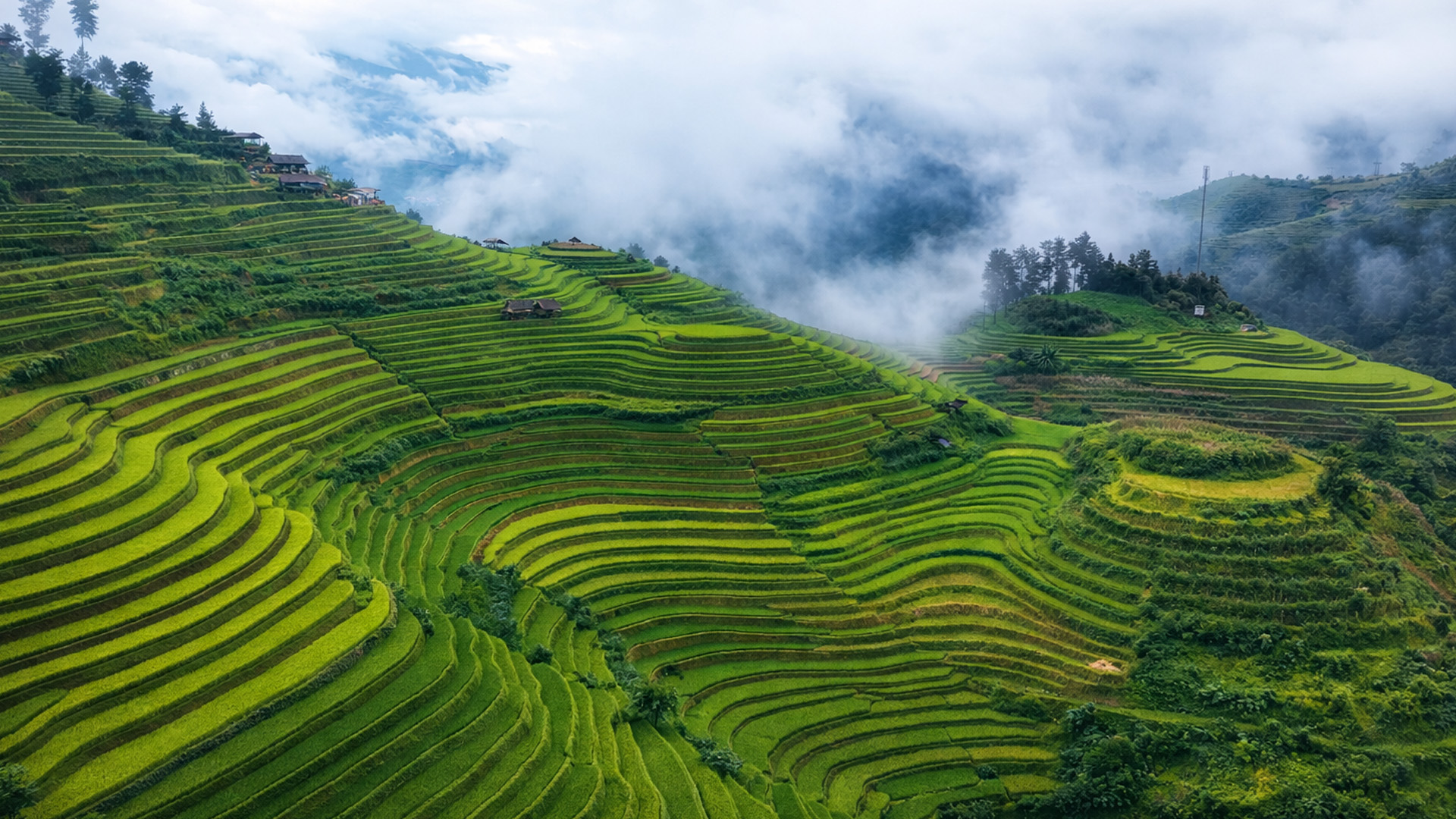 How were these rice terraces built?