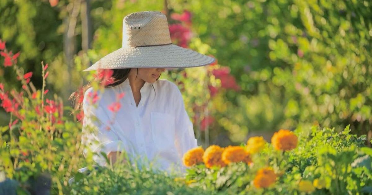 Meghan Markle gets mocked over yet another blunder<br><br>