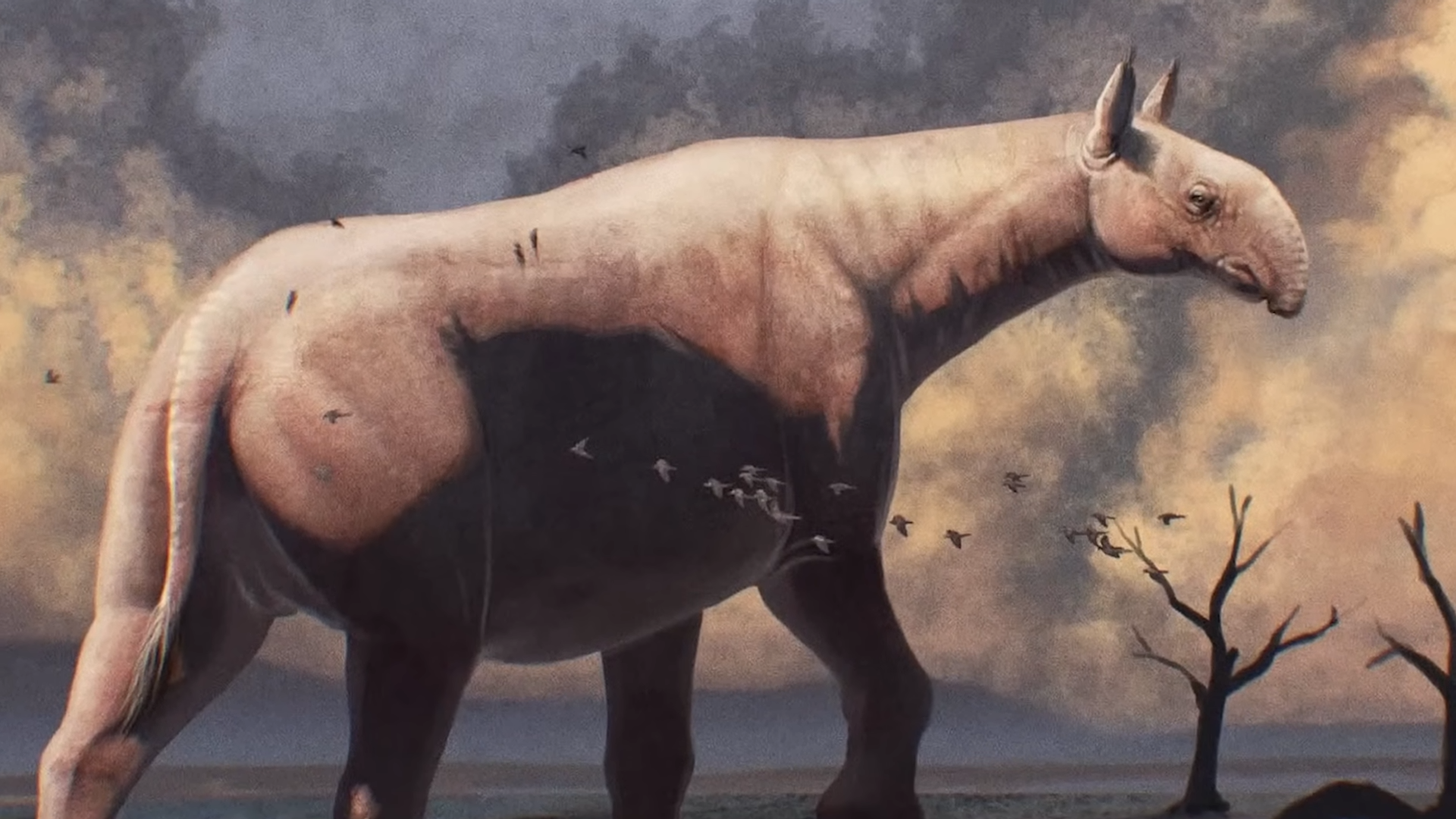 Scientists still debate what this 