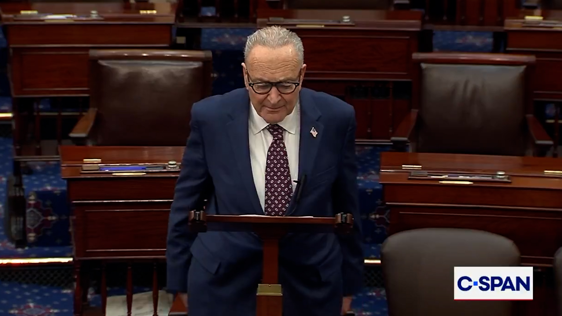 Chuck Schumer slams Trump’s immigration agenda, claims support is ...