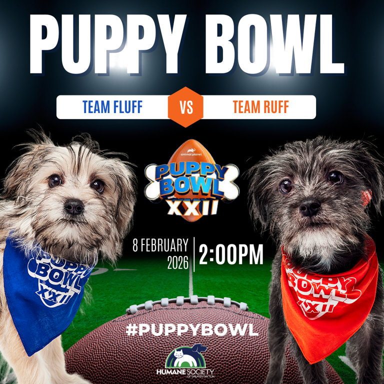 Meet the Ohio dogs playing in the 2026 Puppy Bowl before the Super Bowl