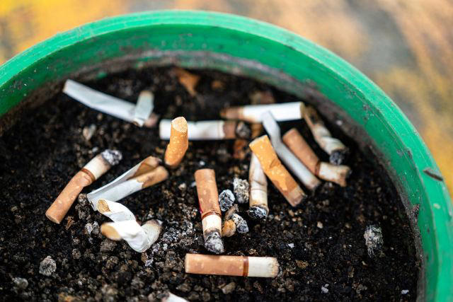 Association Between Weather Seasonality And Blood Parameters In Riverine Populations Of The Brazilian | Jornal De Pediatria Australia