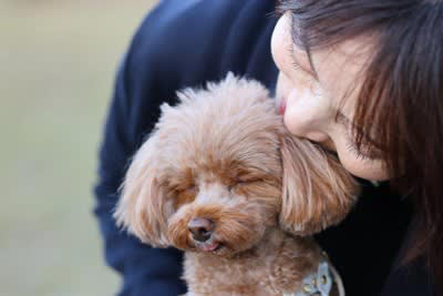 犬を大満足させる『愛情表現』5選 気持ちを伝えるにはどうしたらいいの？必要なコミュニケーションまで