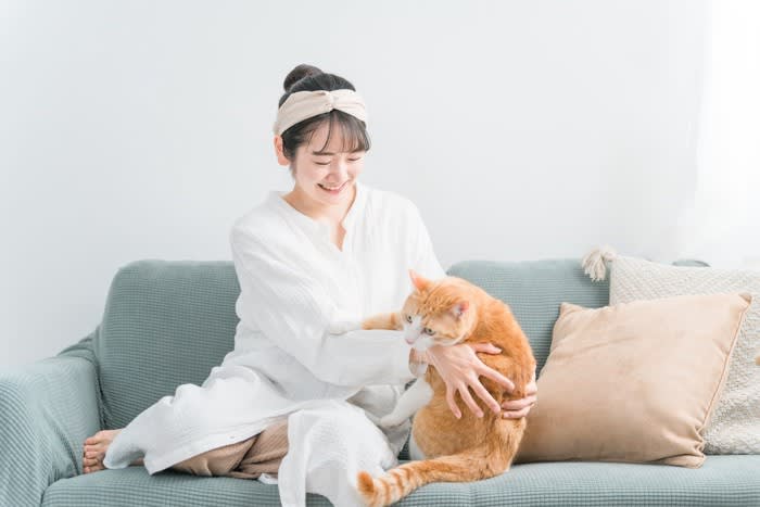 猫が『尻尾をぶつけてくる』ときの理由3つ 読み取れる心理や上手な応え方