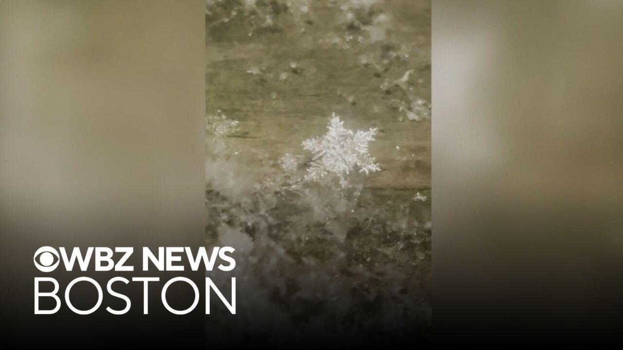 Stunning dendrite snowflakes seen on video in Maine