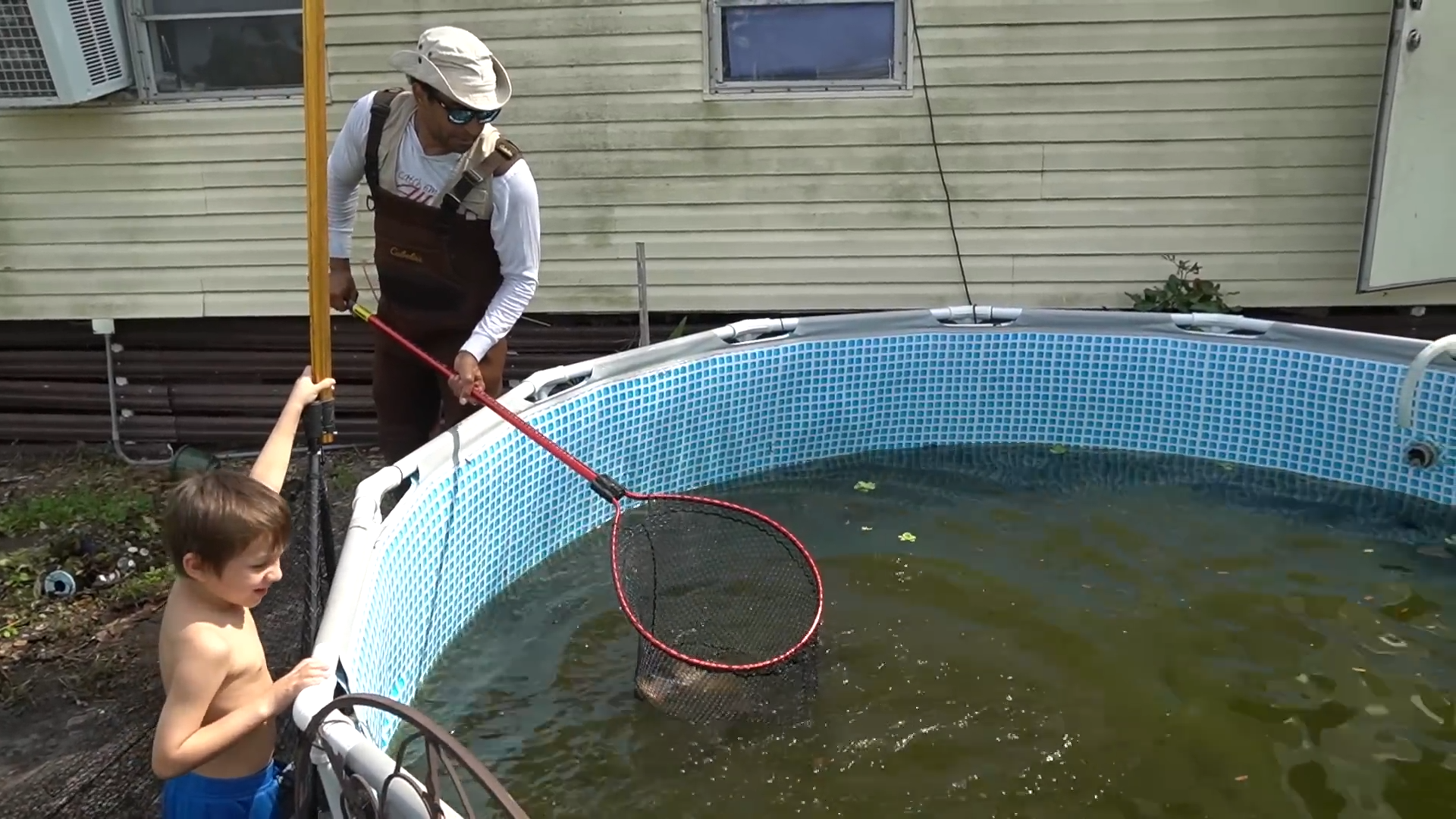 Draining a pool filled with exotic fish