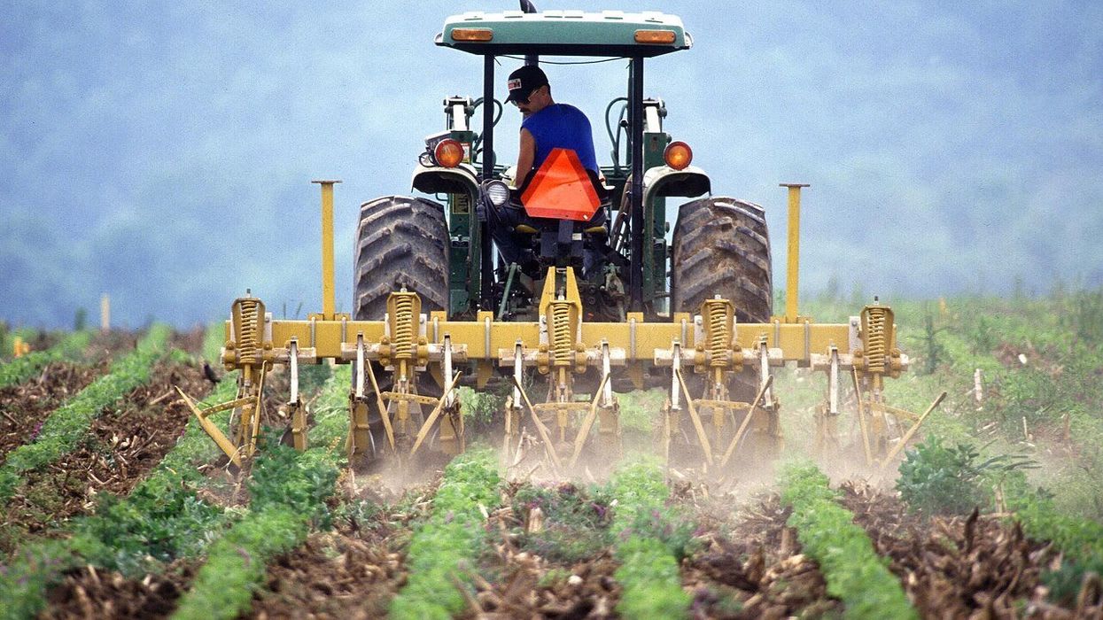 Trump blamed for imminent 'widespread collapse' of US farming