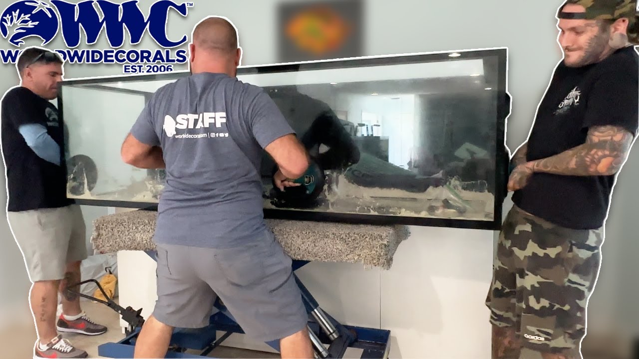 A closer look at Water Pre-Treating For Aquariums