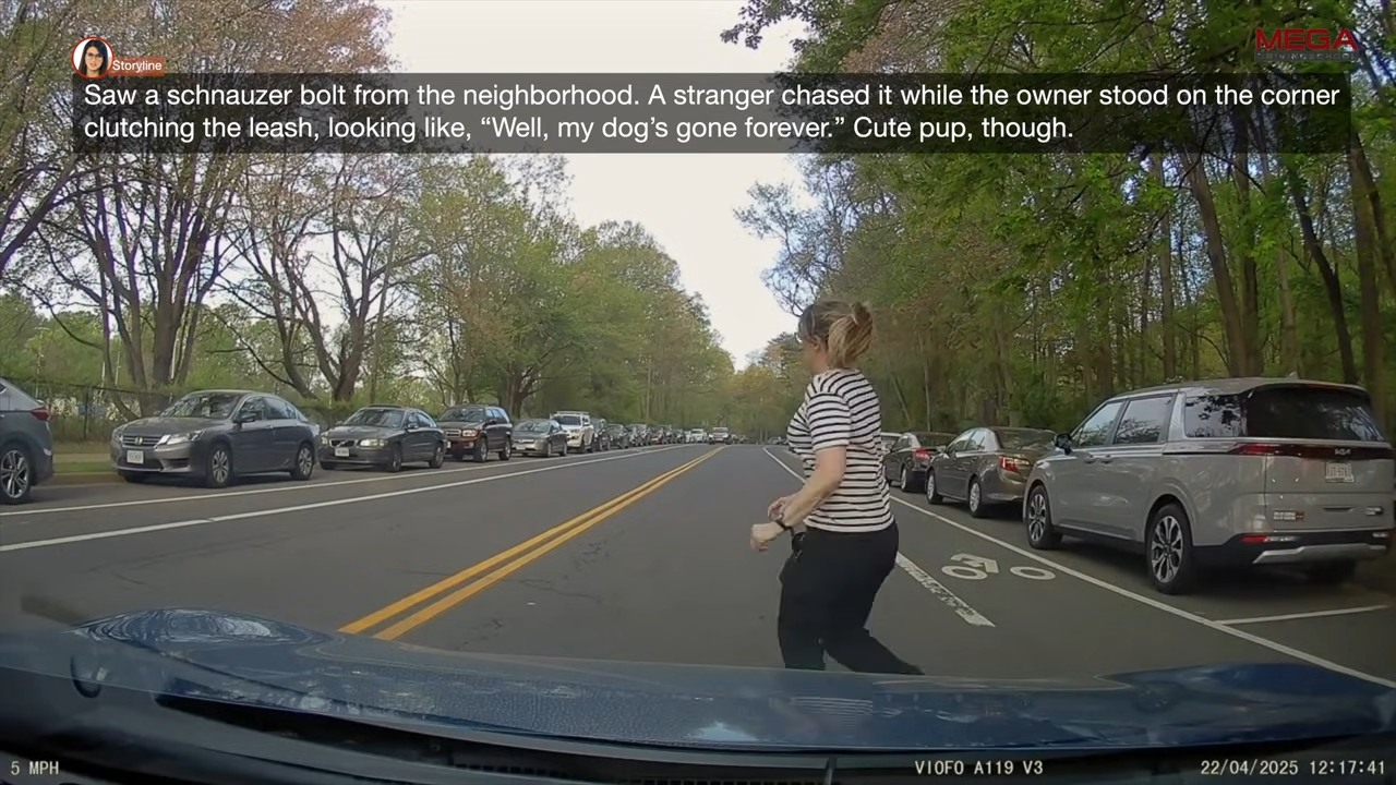 See that? - The split-second before a pedestrian gets hit