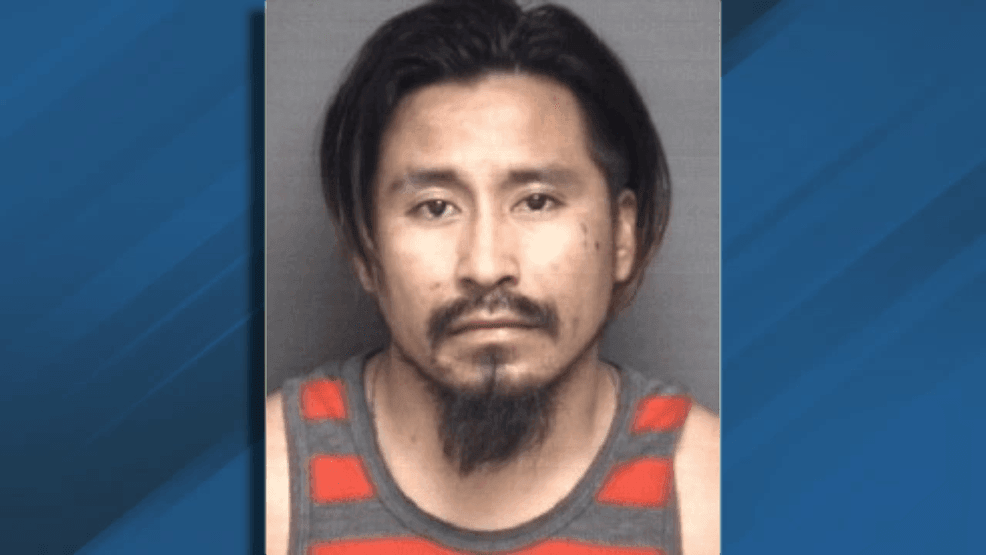 Greenville man facing drug and weapons charges