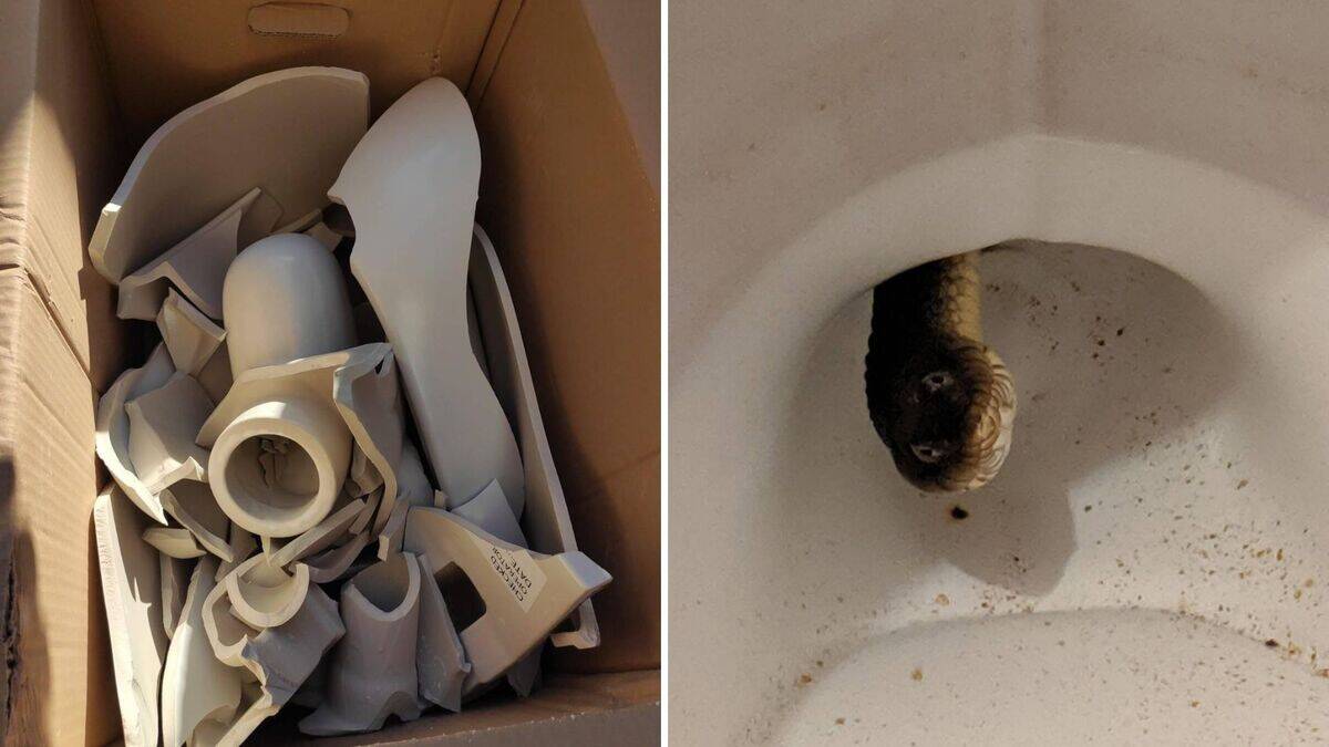 10+ people who really understand the definition of 'bad luck'
