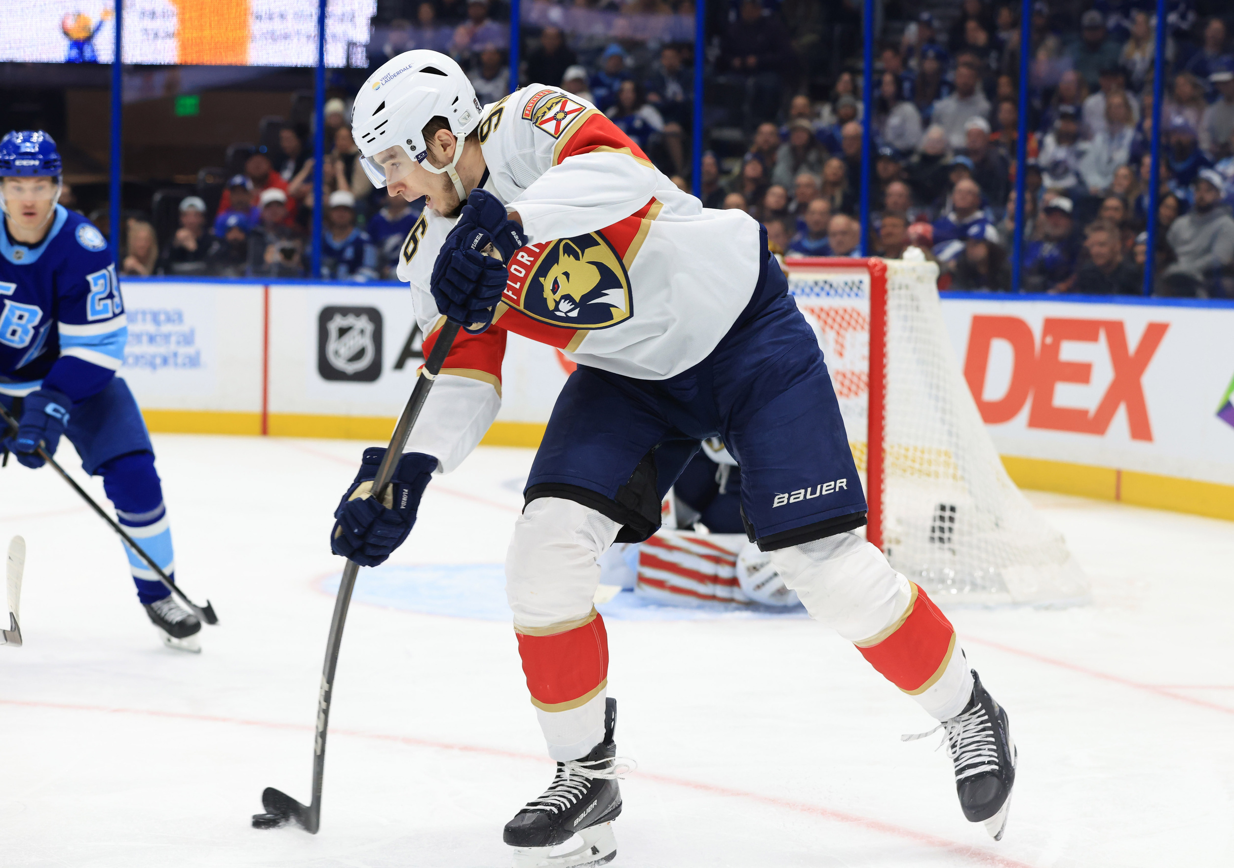 Panthers reassign Mikulas Hovorka