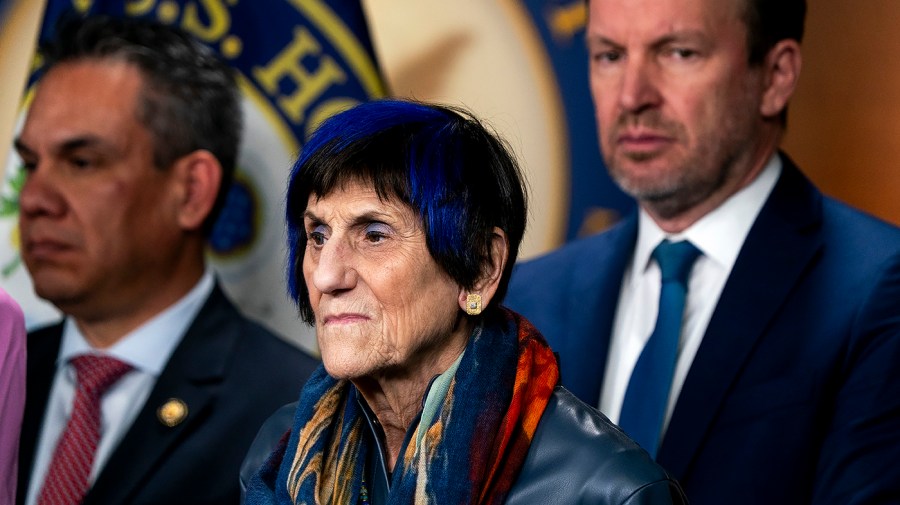 Top Democratic appropriator in House pitches funding TSA, FEMA as DHS ...