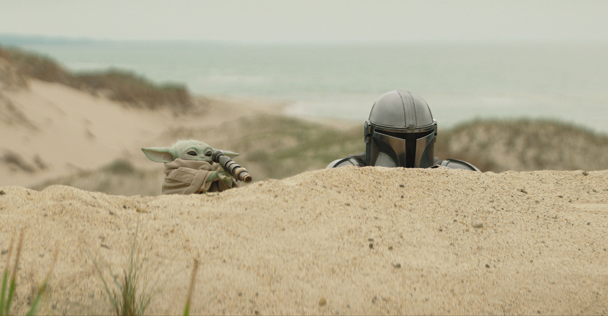 THE MANDALORIAN & GROGU