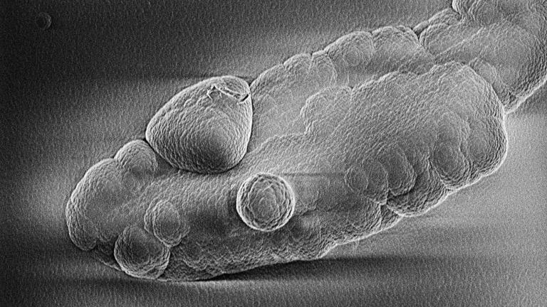 Student makes cosmic dust in a lab, shining a light on the origin of life