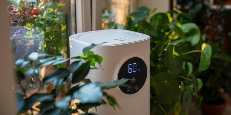 This common home problem may be the reason you're getting sick this ...