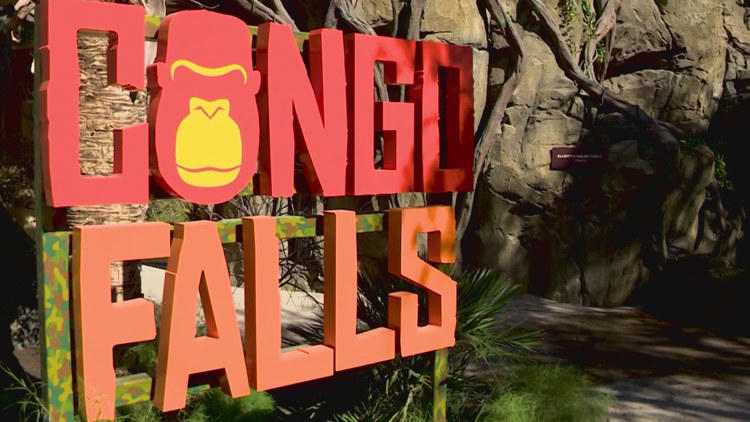 San Antonio Zoo offering discounted locals day for second weekend in a row