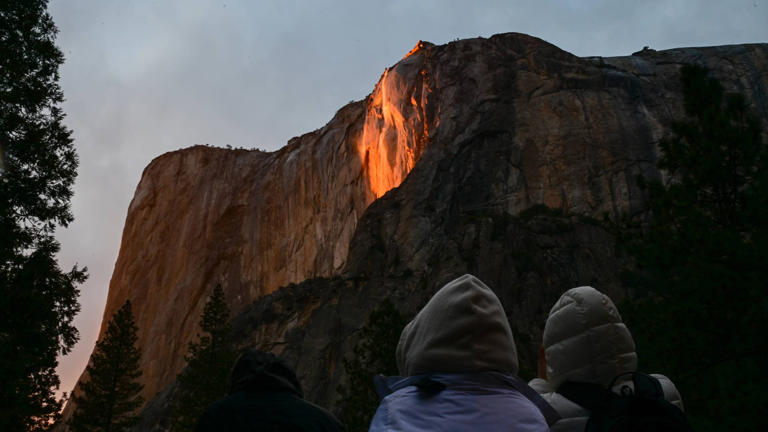 How to see 8 rare national park experiences that happen once a year