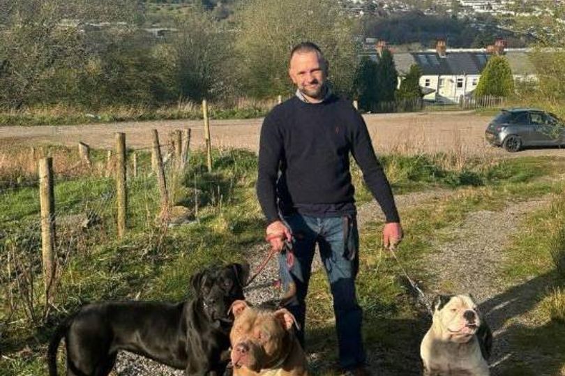 Murderer admits guilt after 'greatly missed' boxer and MMA competitor's ...