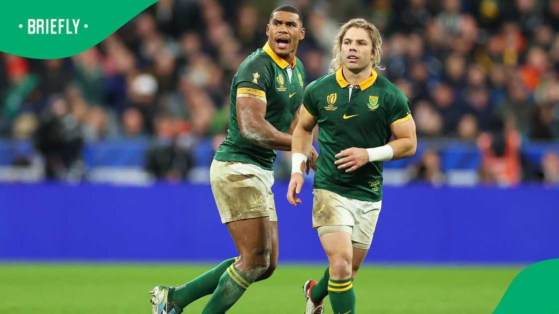 Faf de Klerk likely to join Cheetahs as Springbok veteran leaves Japan ...