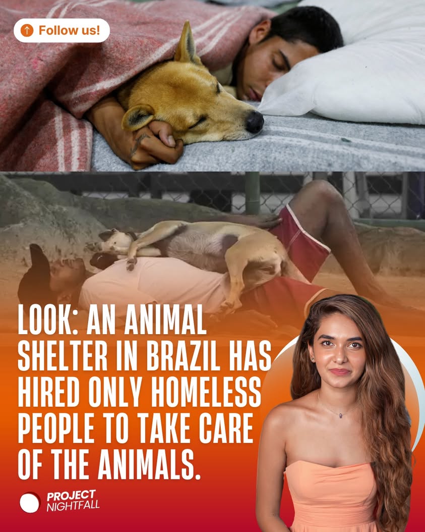 They don't just rescue animals, they rescue people, too. 🥹 In Rio de ...