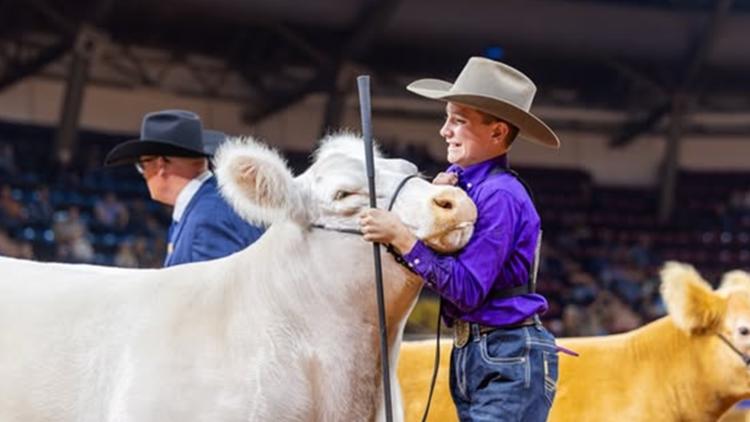 Hood County teen, 'White Castle' grand champion steer shatters auction ...