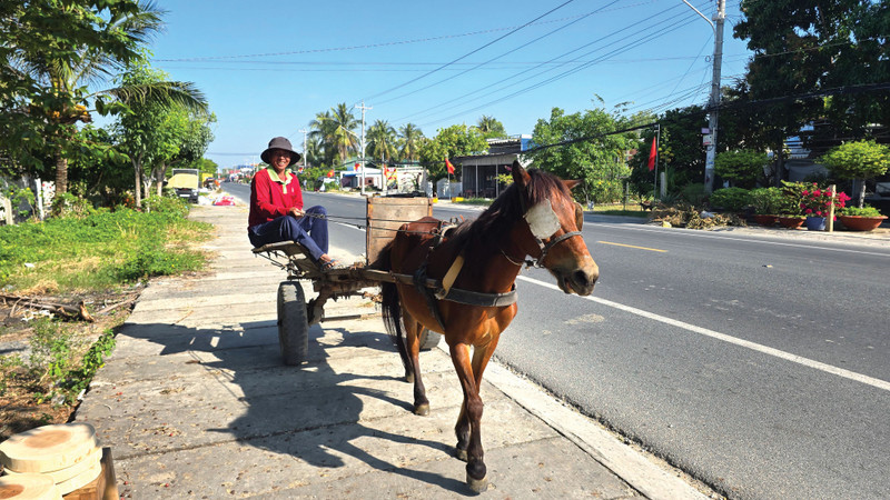 Về Thất Sơn vẳng nghe vó ngựa