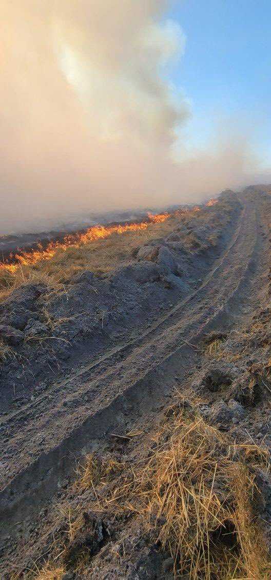 Brush fire burns 30 to 40 acres in Okeechobee County