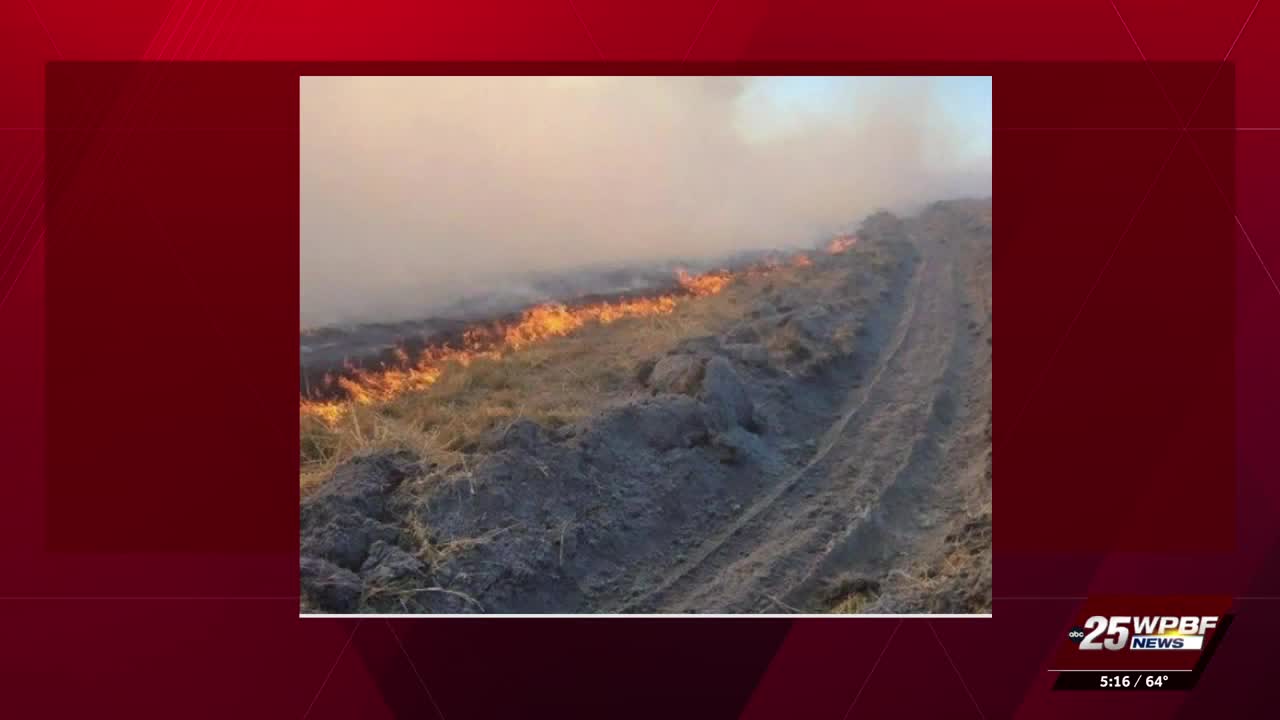 Brush fire burns 30 to 40 acres in Okeechobee County