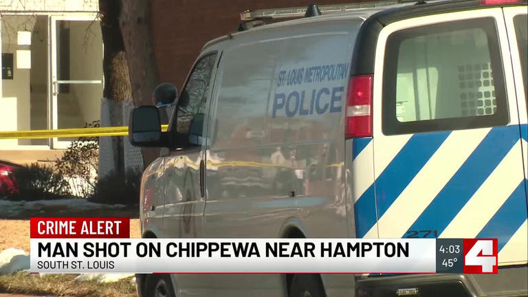 Man shot on Chippewa near Hampton, in critical condition
