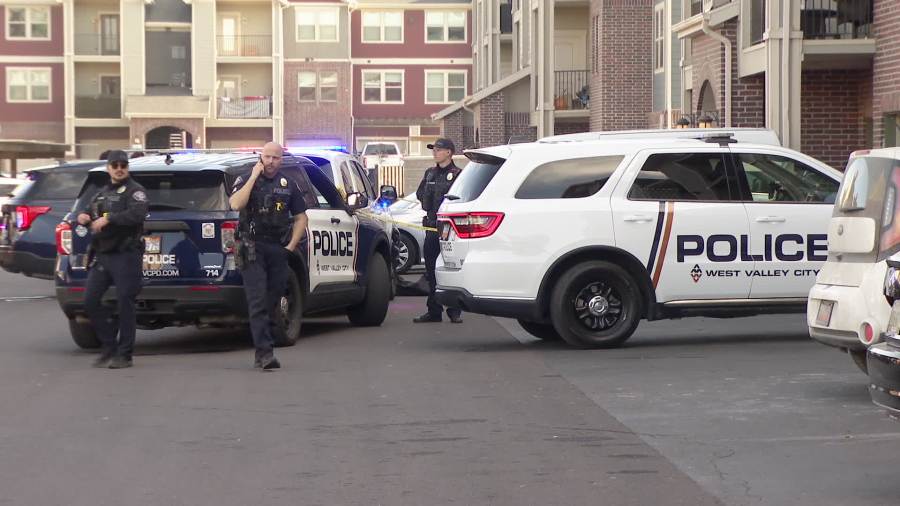 New details released after fatal carbon monoxide poisoning in West Valley City<br>