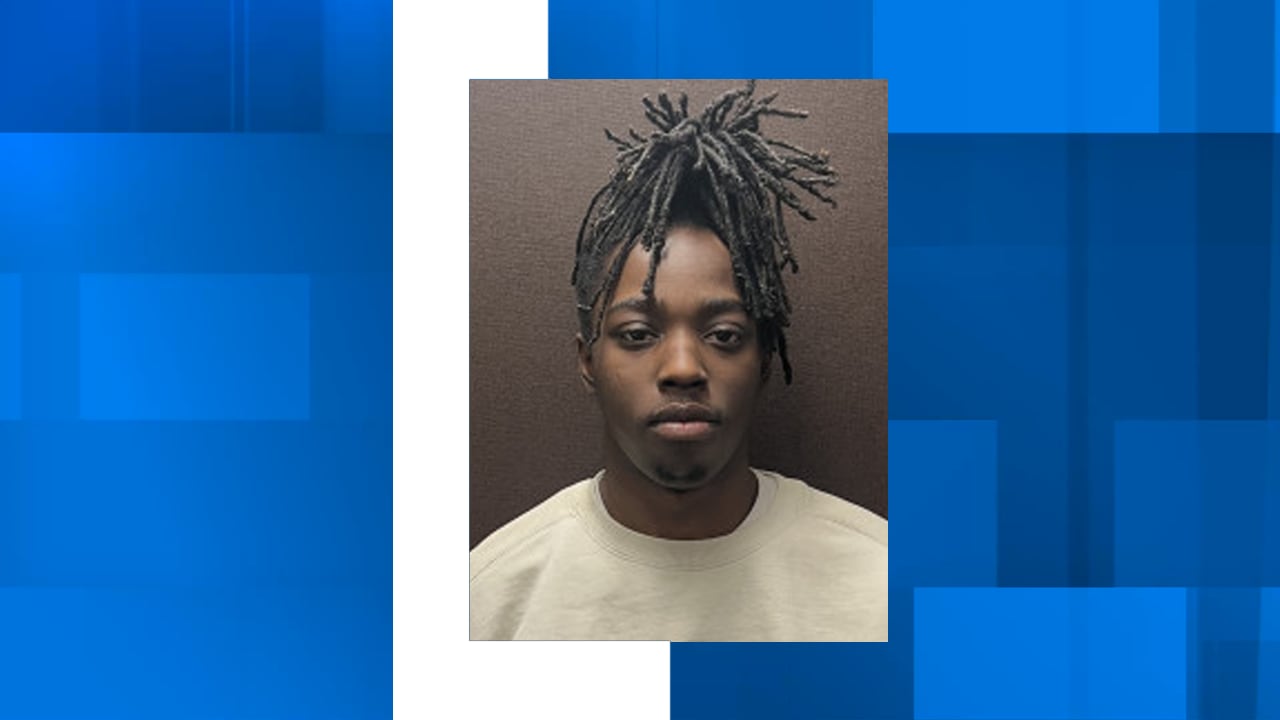 Police identify, arrest Summerville man in connection with indecent ...