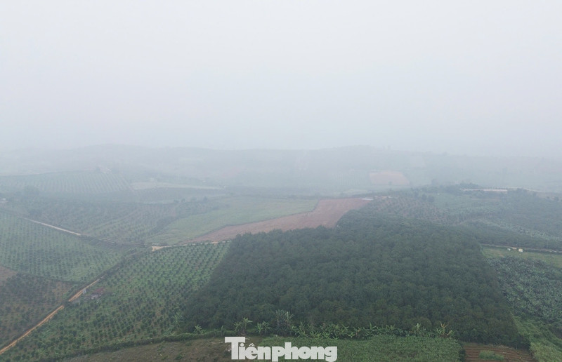 Những ngày nhộn nhịp ở thủ phủ cam Cao Phong