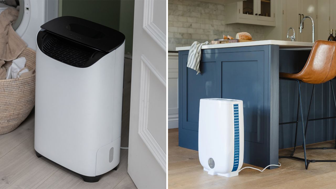 Choosing between a compressor and desiccant dehumidifier? These are the ...