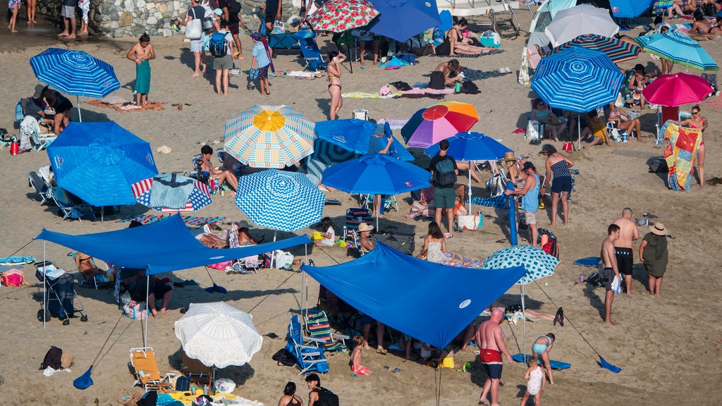 Laguna Beach city leaders mulling ban of large pop-up shade structures over safety concerns