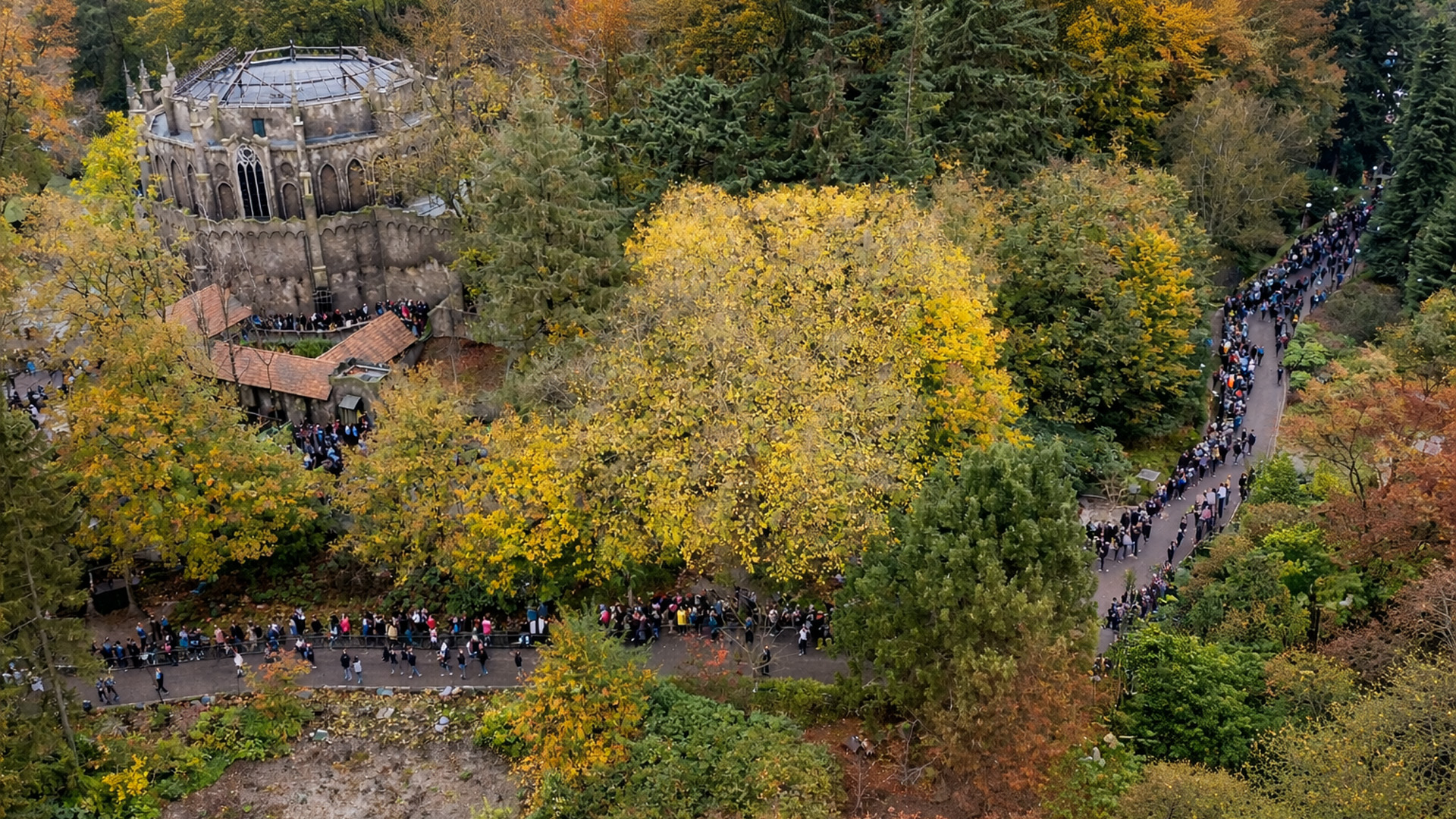 Bezoekers van Efteling staan in de rij voor een indrukwekkende attractie