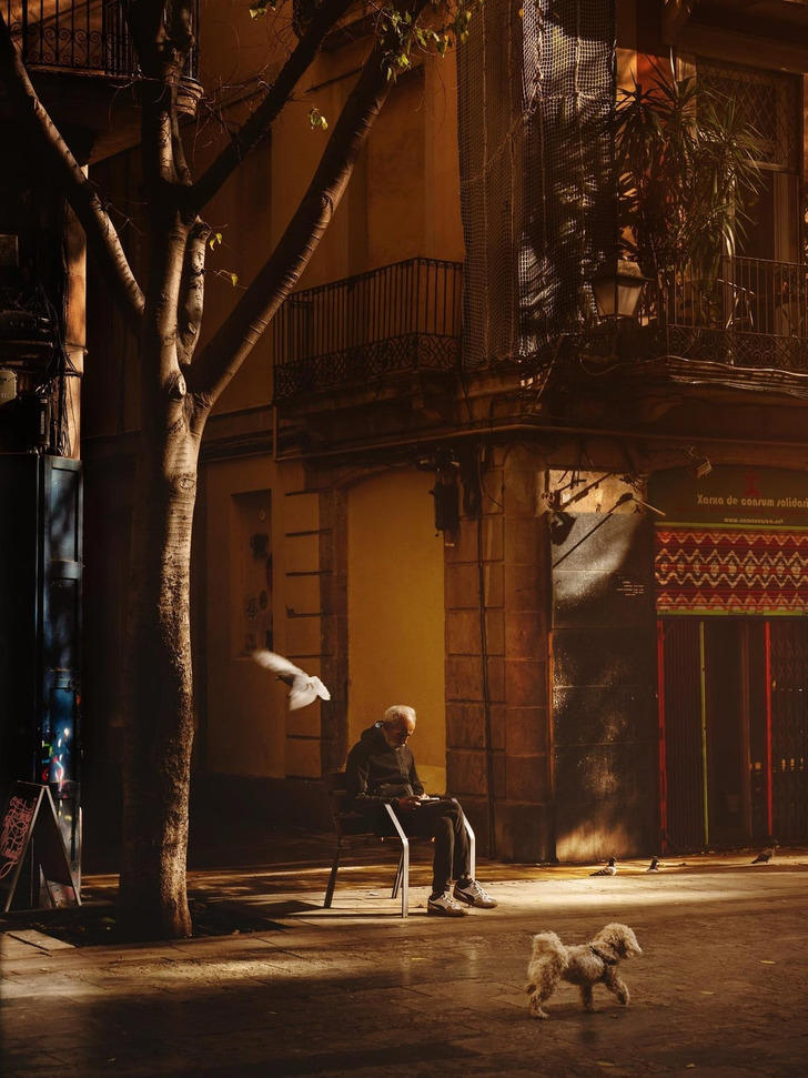 25 magical real-life moments that Hollywood couldn’t stage