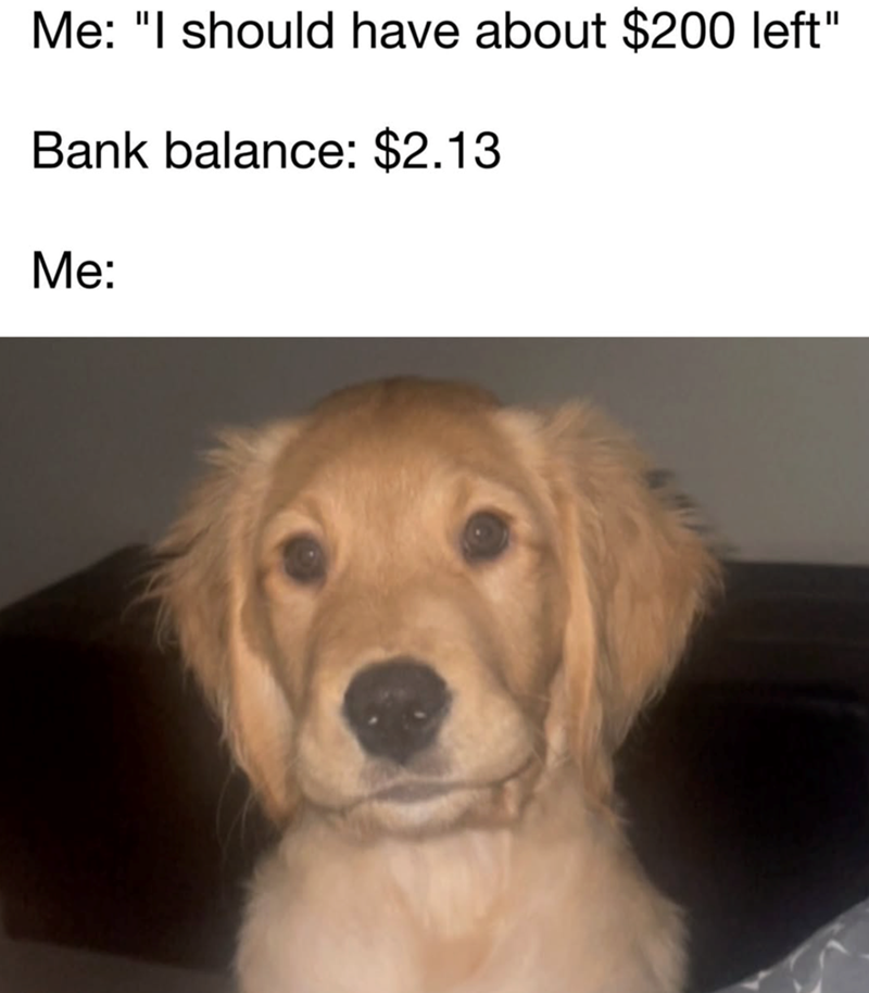 21 heartwarming dog memes for your morning cup of pawsitivity (February ...